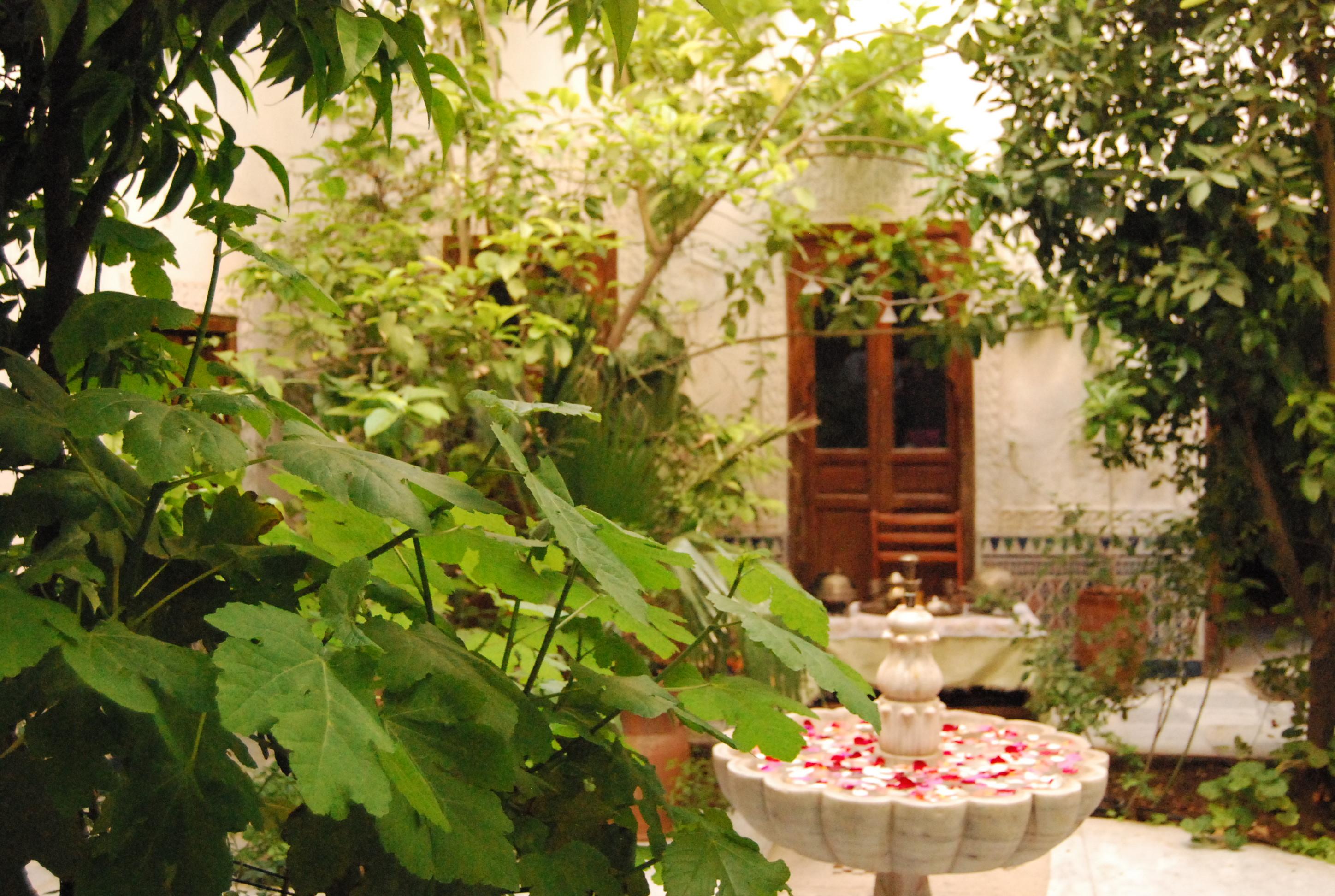 מרקש Riad Ben Youssef מראה חיצוני תמונה