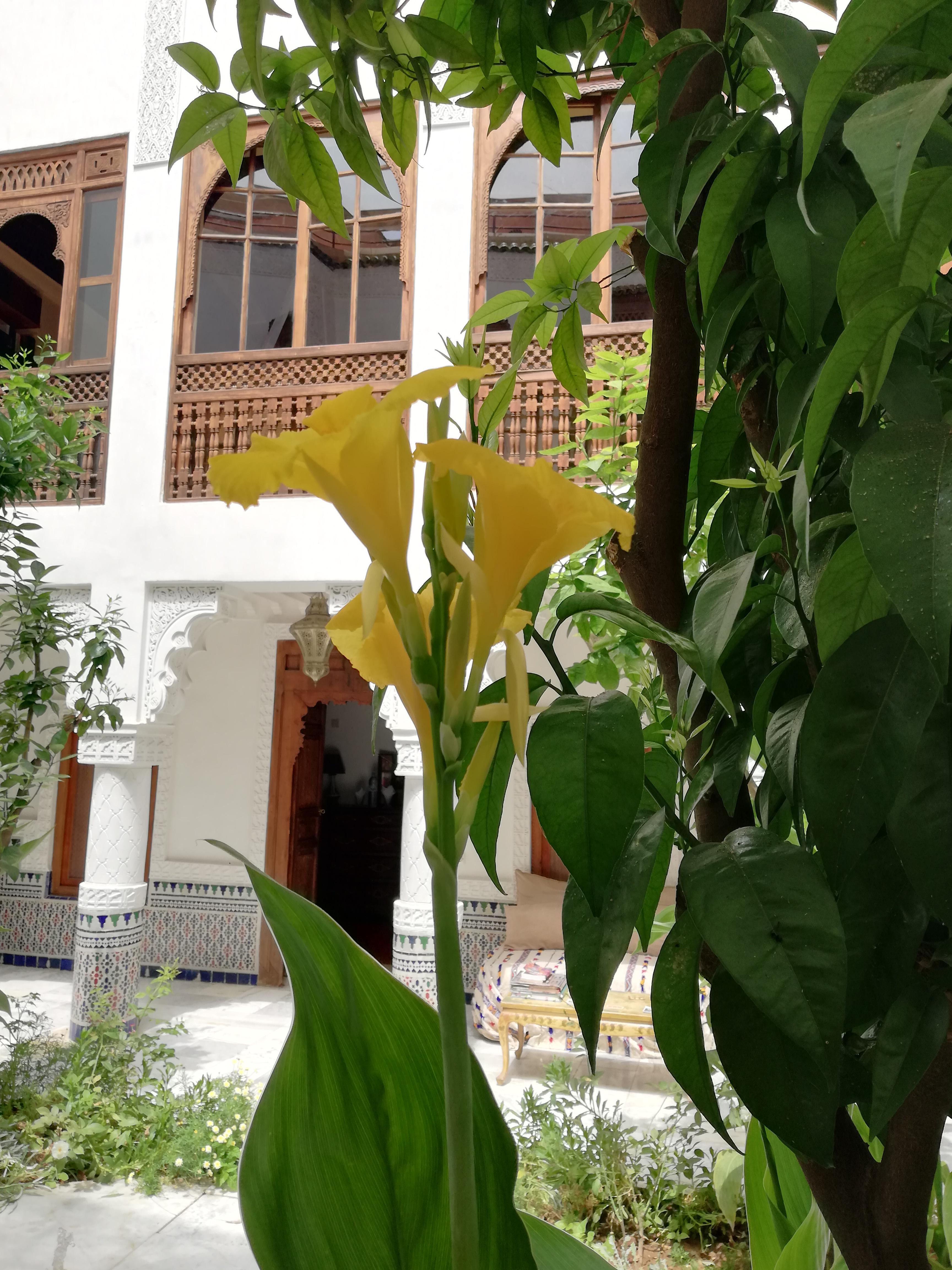 מרקש Riad Ben Youssef מראה חיצוני תמונה